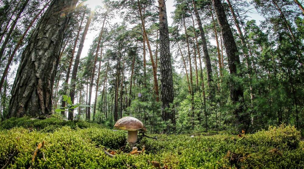 Photograph by Вячеслав Лычков