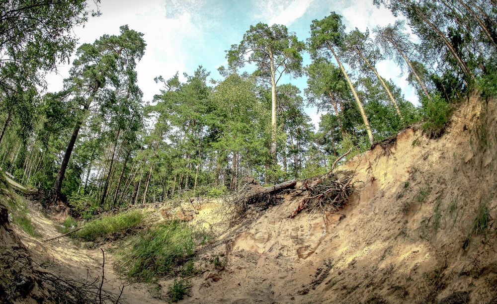 Photograph by Вячеслав Лычков