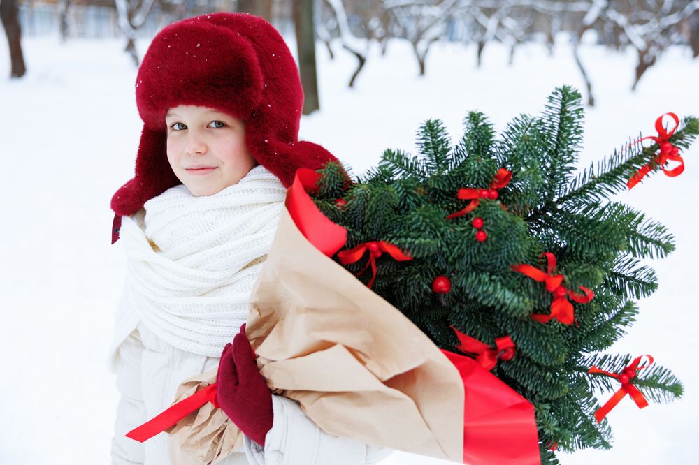 Photograph by Олеся Заяц