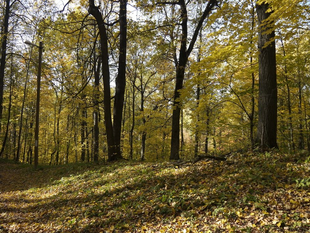 Фотография автора Клавдия Васильева