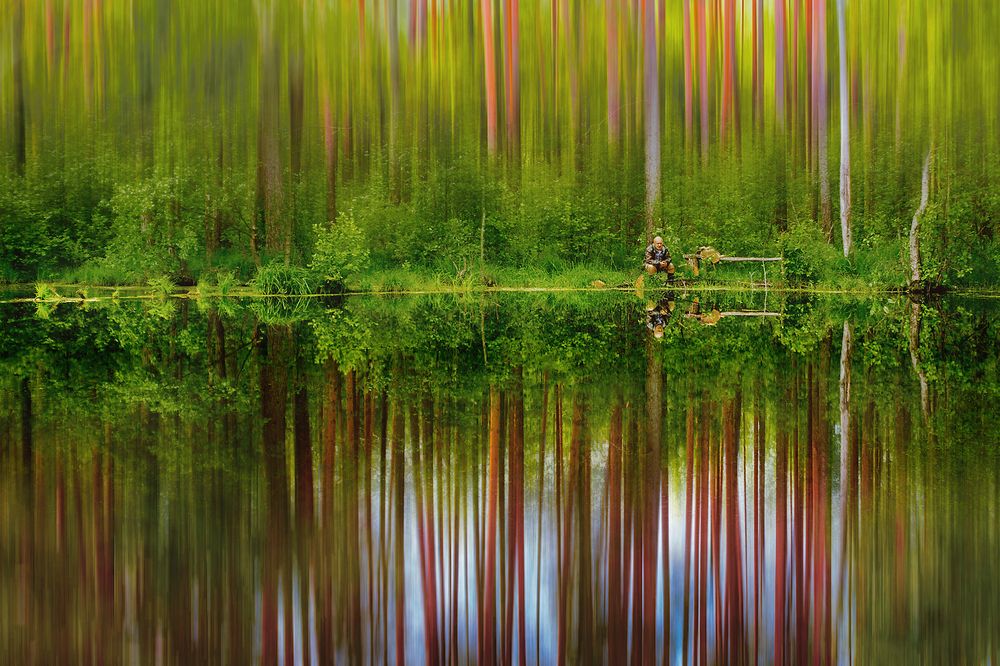 Лесное озеро