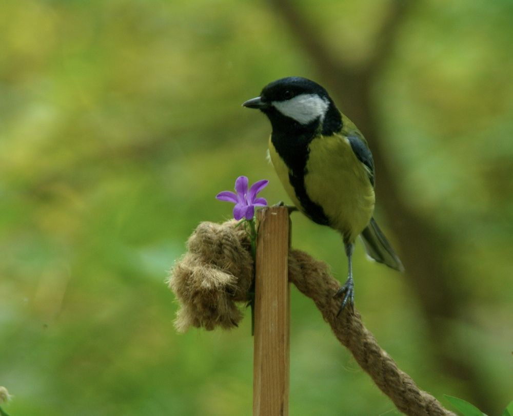 Photograph by Ирина Швейнова