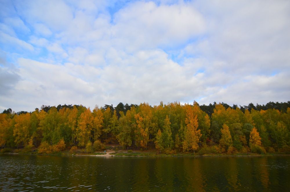 Фотография автора Клавдия Васильева