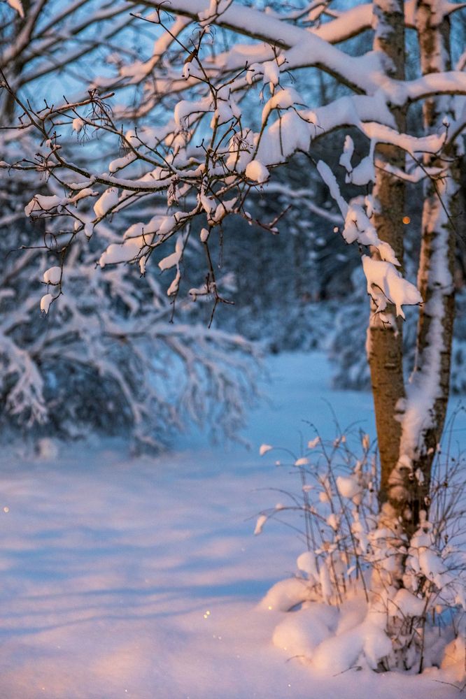Photograph by Людмила Воробьева