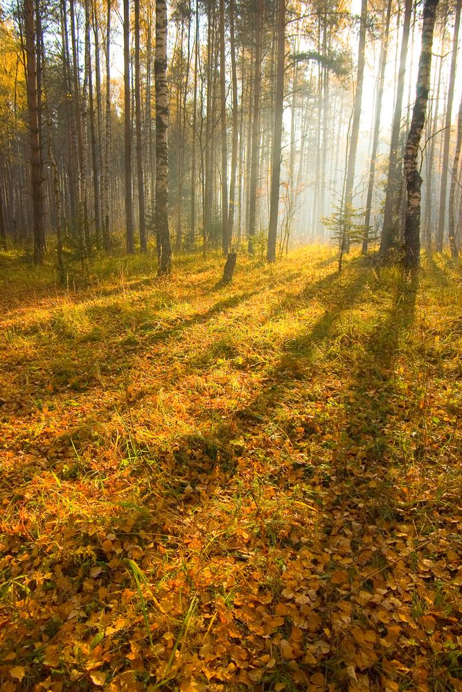 Photograph by Александр Трошин