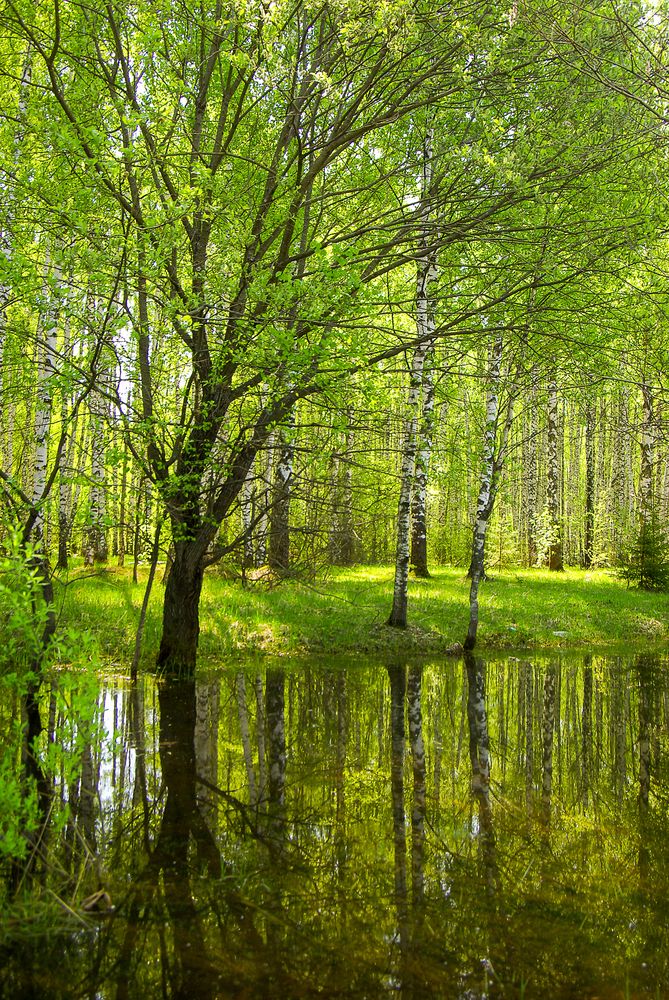 Photograph by Александр Трошин