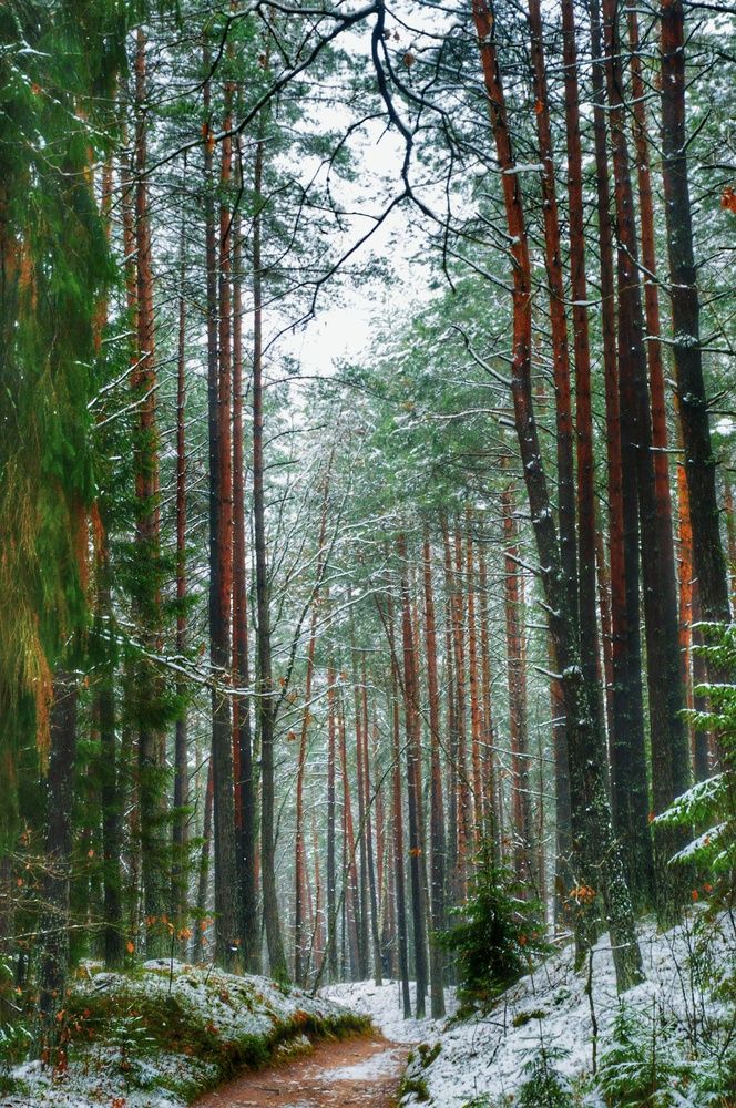 Photograph by Анна Зорька