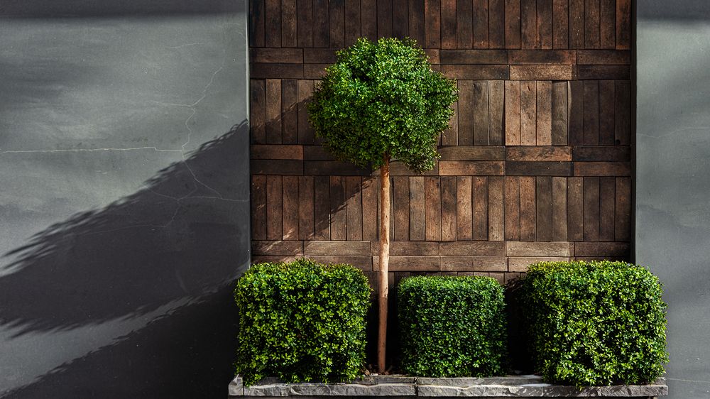 Кустарная геометрия