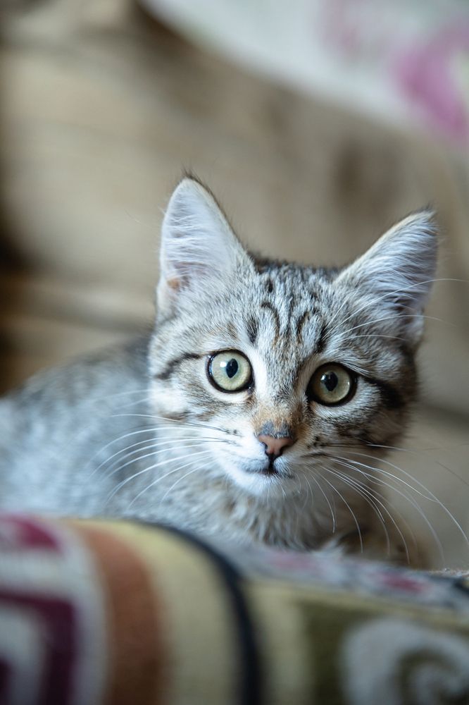 Photograph by Юлия Ташлыцкая