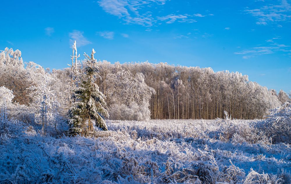Photograph by Александр Трошин