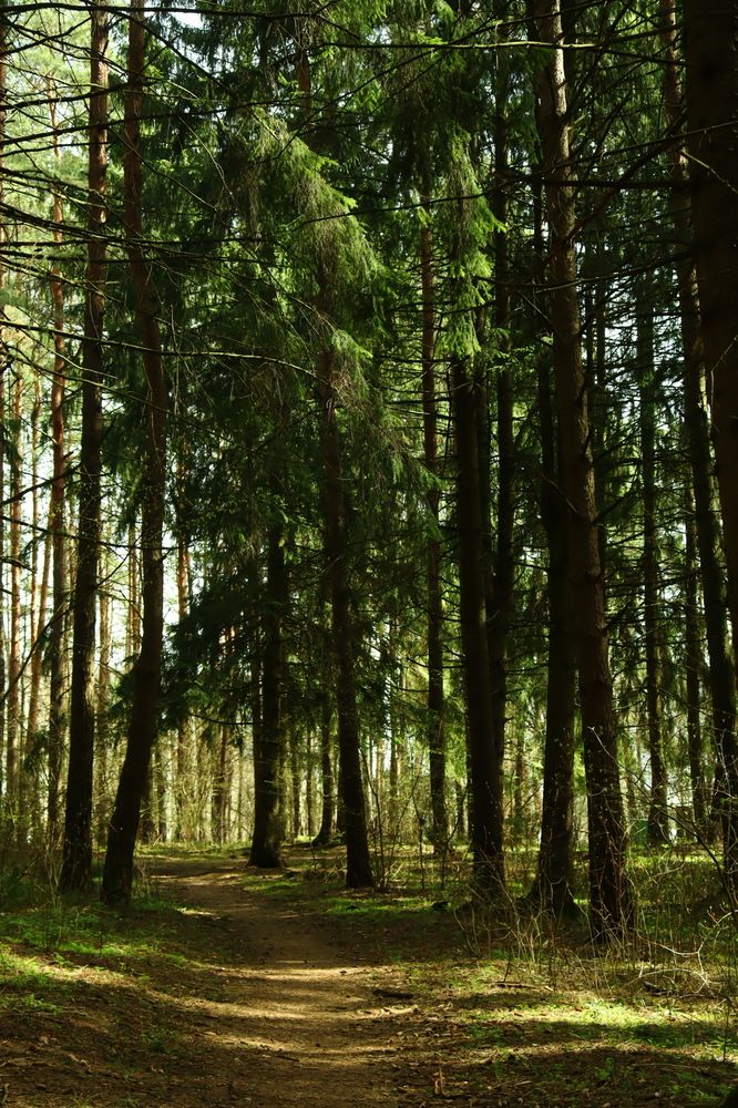 Photograph by Анастасия Селява