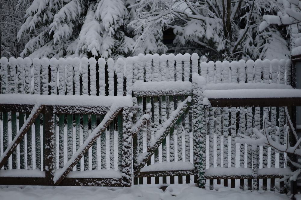 Фотография автора ВЯЧЕСЛАВ