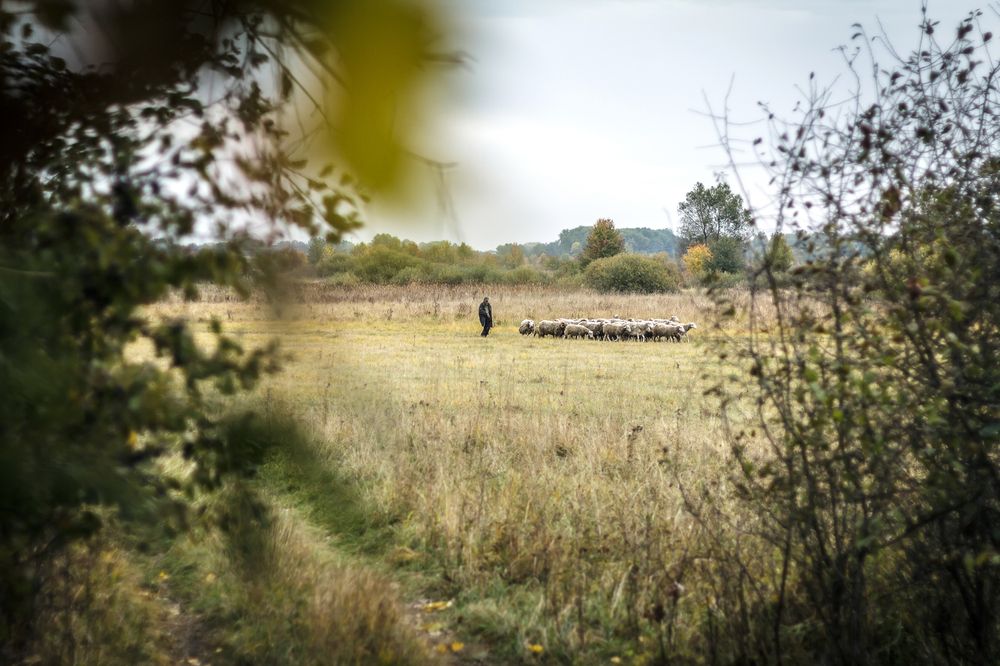 Photograph by Виталий Хромычев