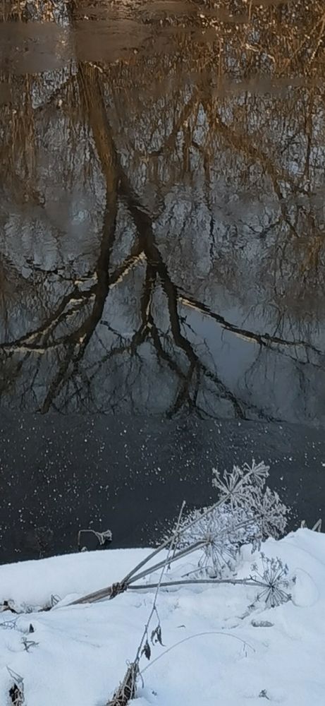 Photograph by Игорь Кошмяков