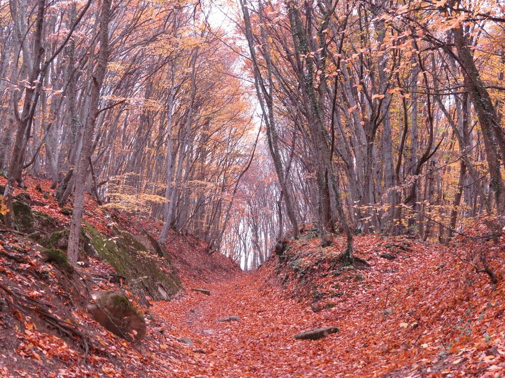 Photograph by Татьяна Стаскевич