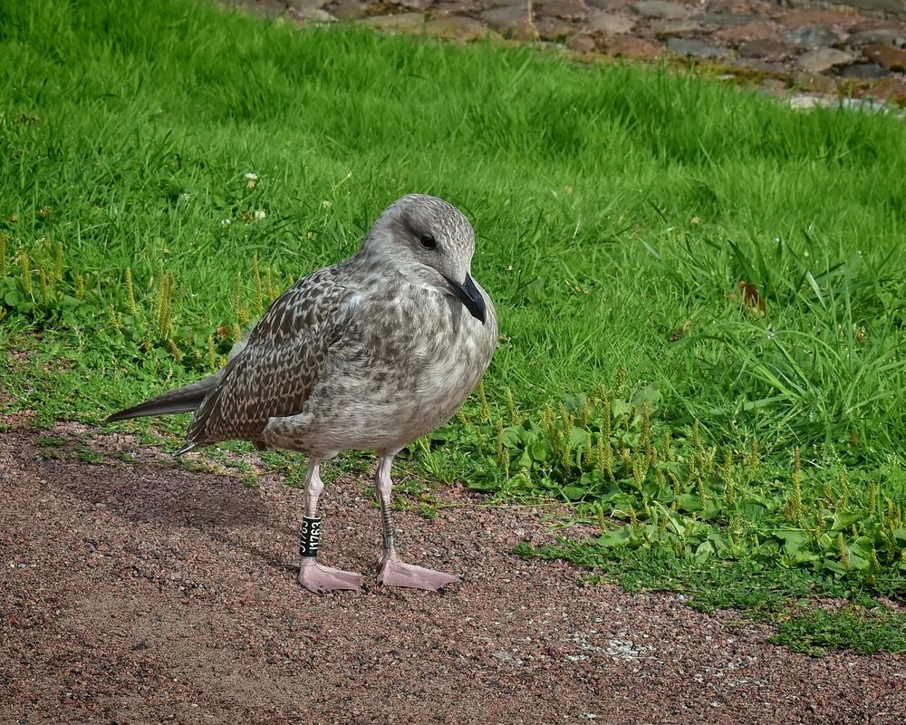 Photograph by Марина Колядина