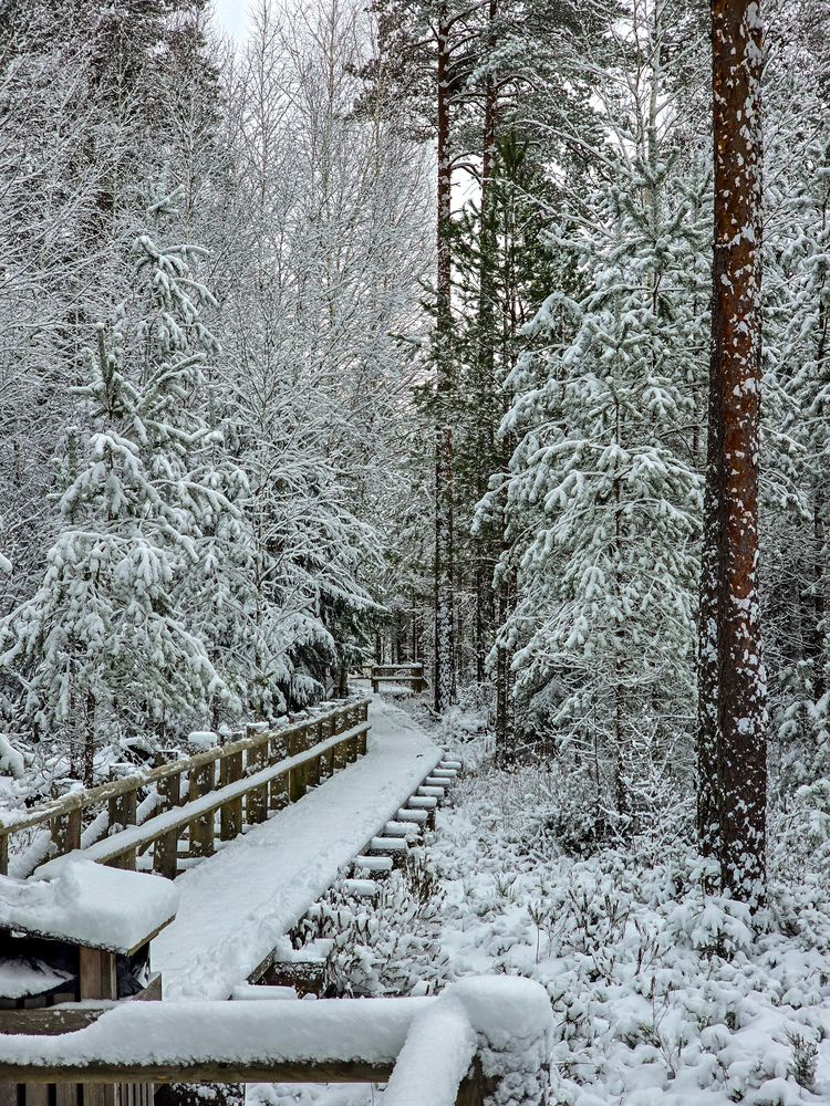 Photograph by Наталия Короленко