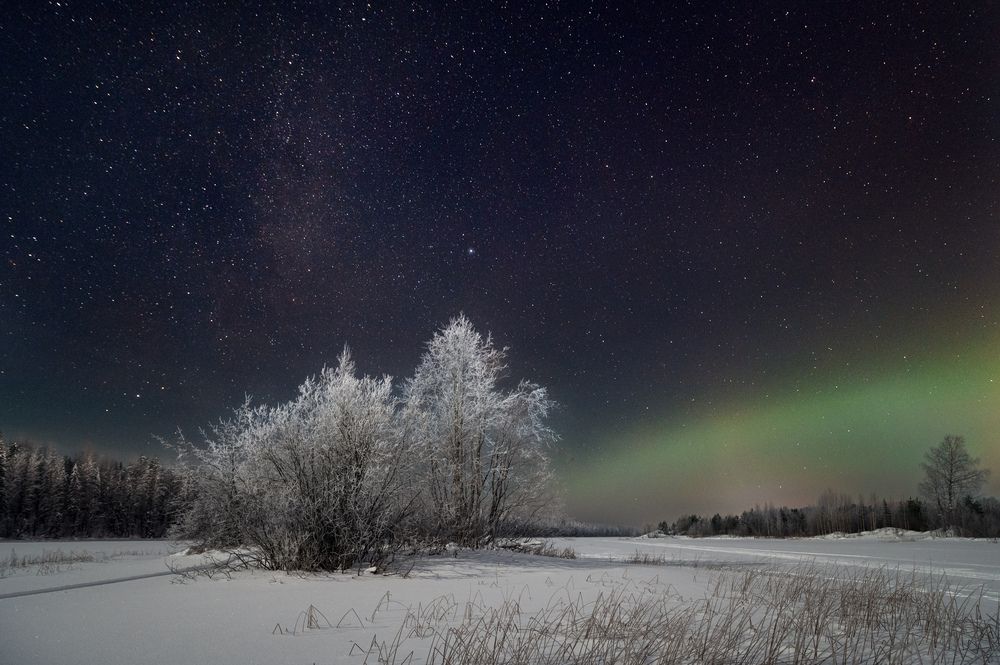 Photograph by Алексей Турчин