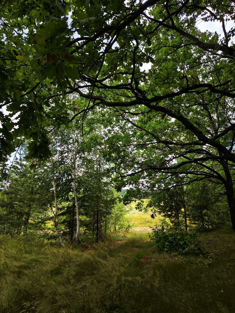 Photograph by Вера Боржеева