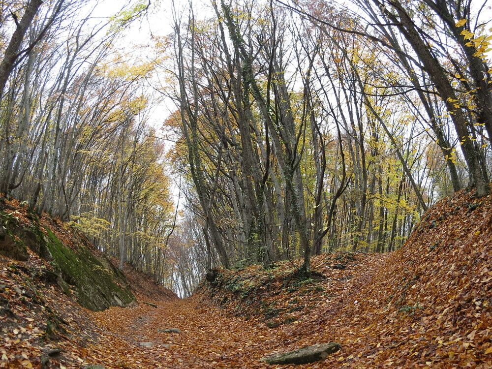 Photograph by Татьяна Стаскевич