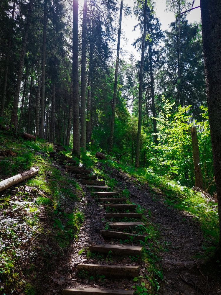 Photograph by Наталия Короленко