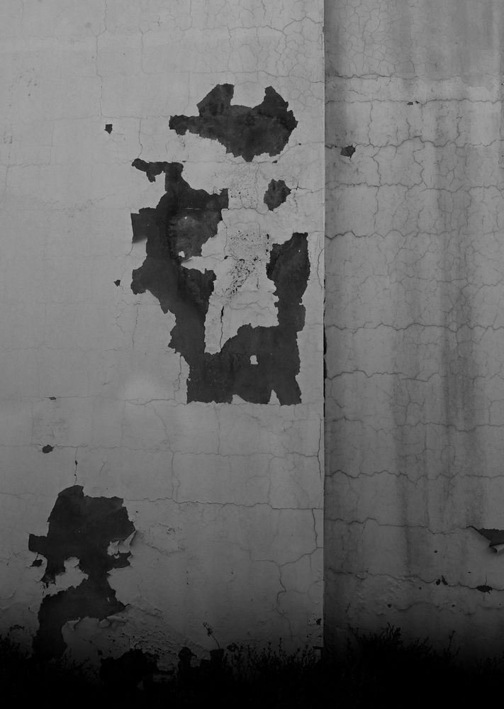 Photograph by Shaji Hussain