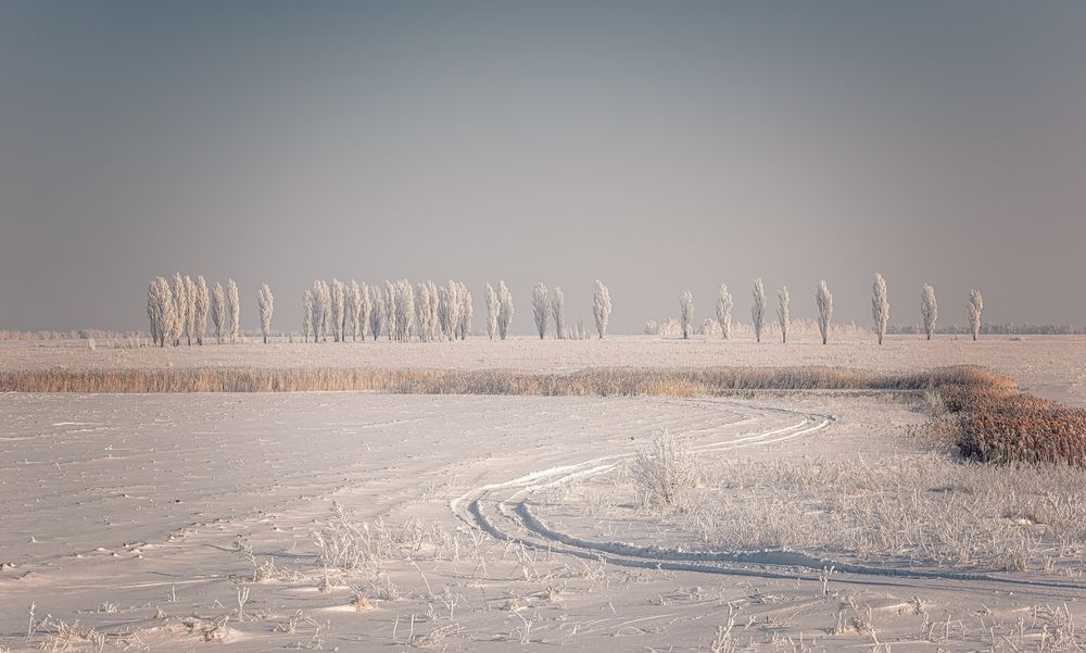 Photograph by Ожерельев Андрей