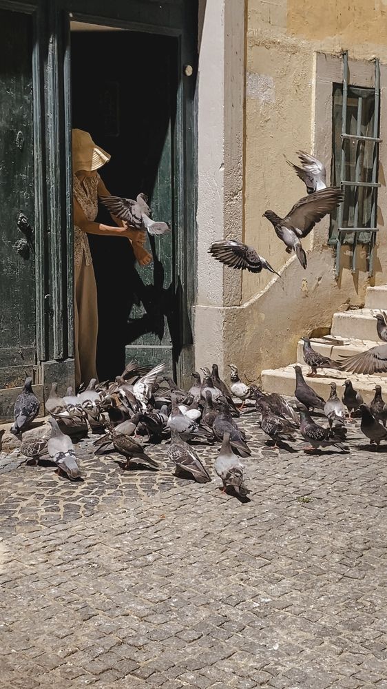 Фотография автора Лариса Гришкевич