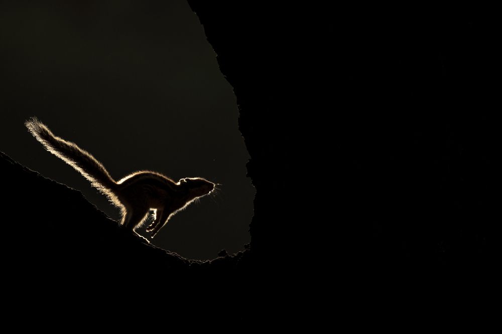 Photograph by Arnold Judson Samuel