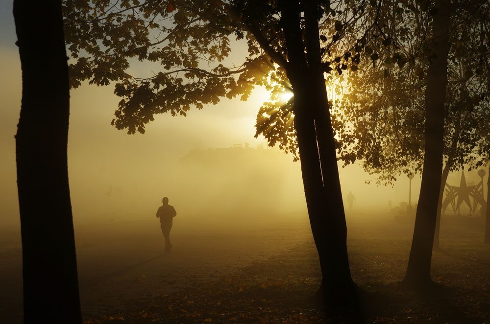 Photograph by Шляга Сергей