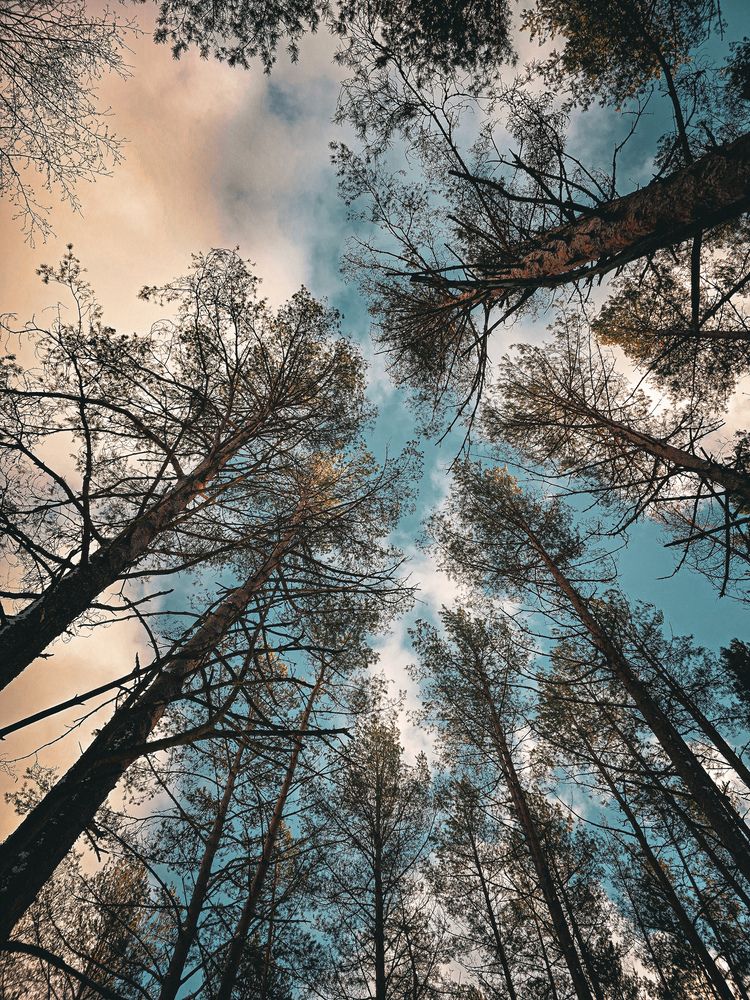 Photograph by Наталия Короленко