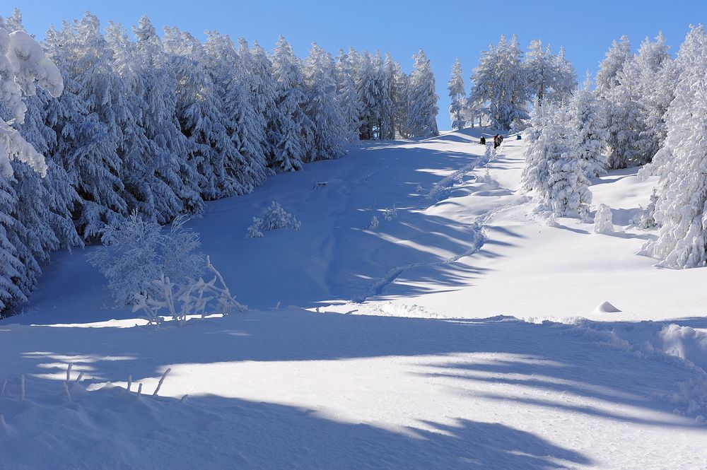 Photograph by Сергей Сережников