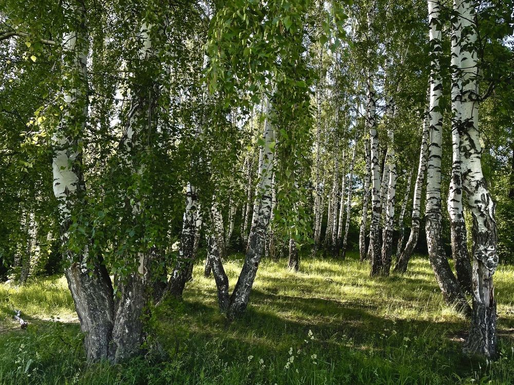 Photograph by Ольга Иванова