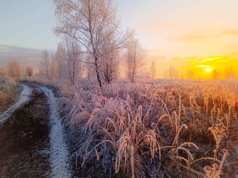 Photograph by Кондрашова Светлана