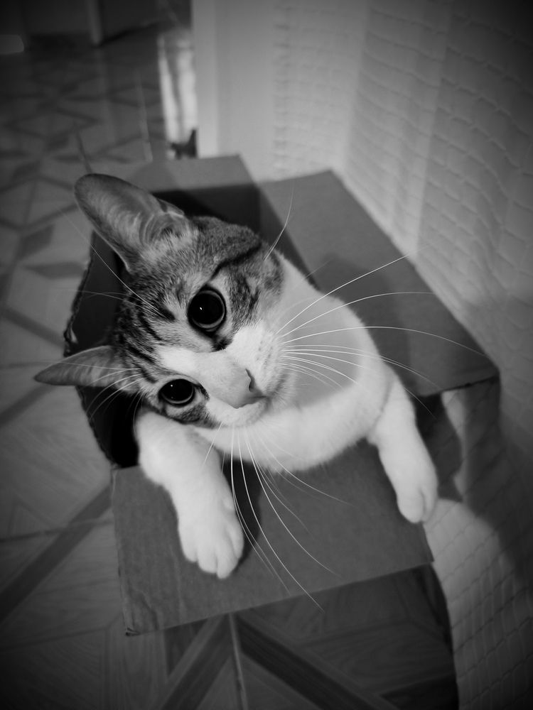 Photograph by Roger Laverde