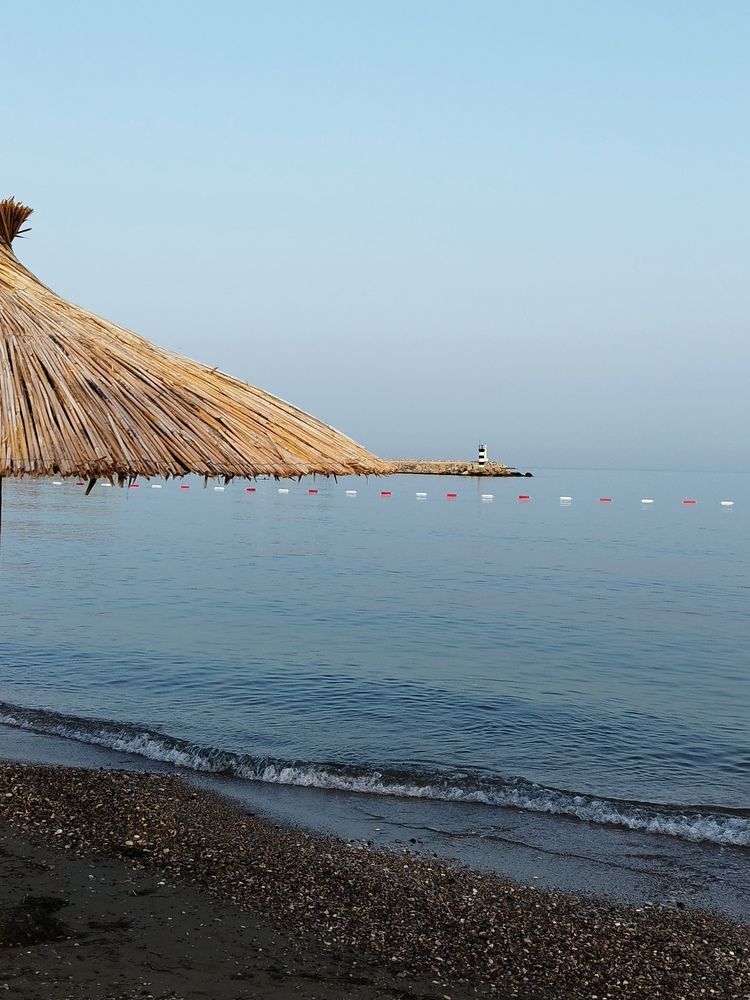 Фотография автора JELENA VASIC