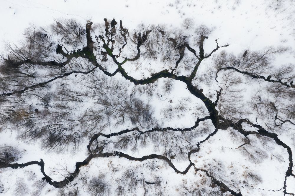 Photograph by Андрей Белавин