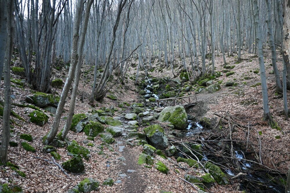 Photograph by Нели Младенова