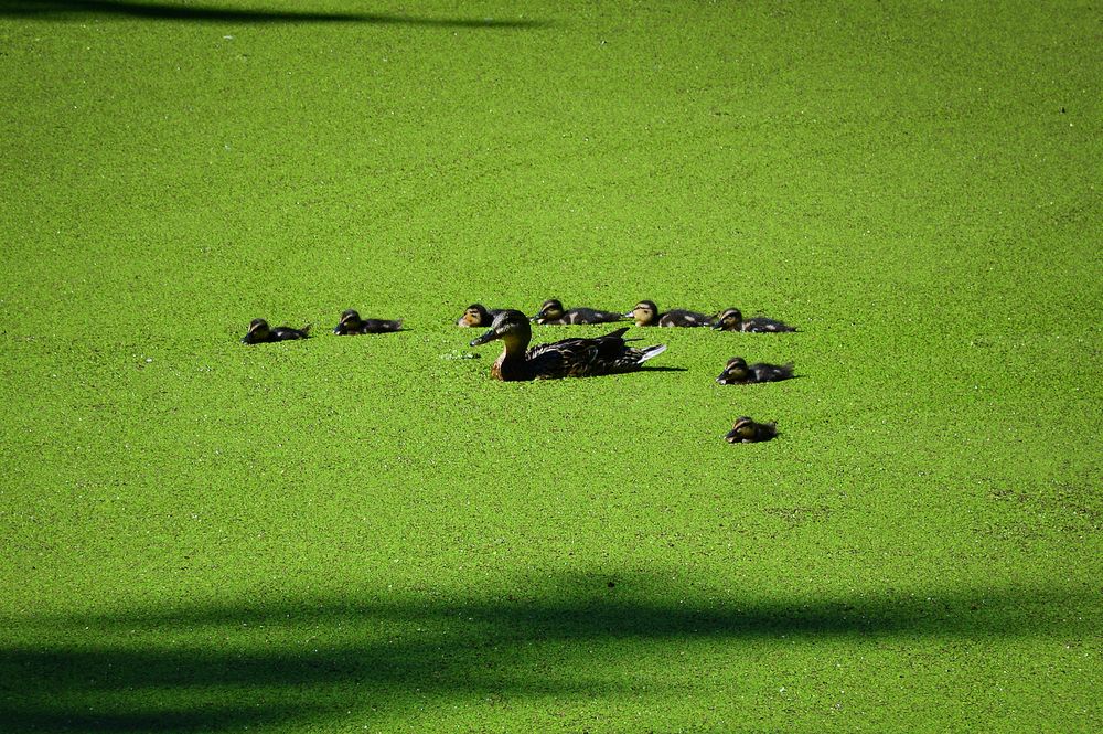 Photograph by Inna Ivanova