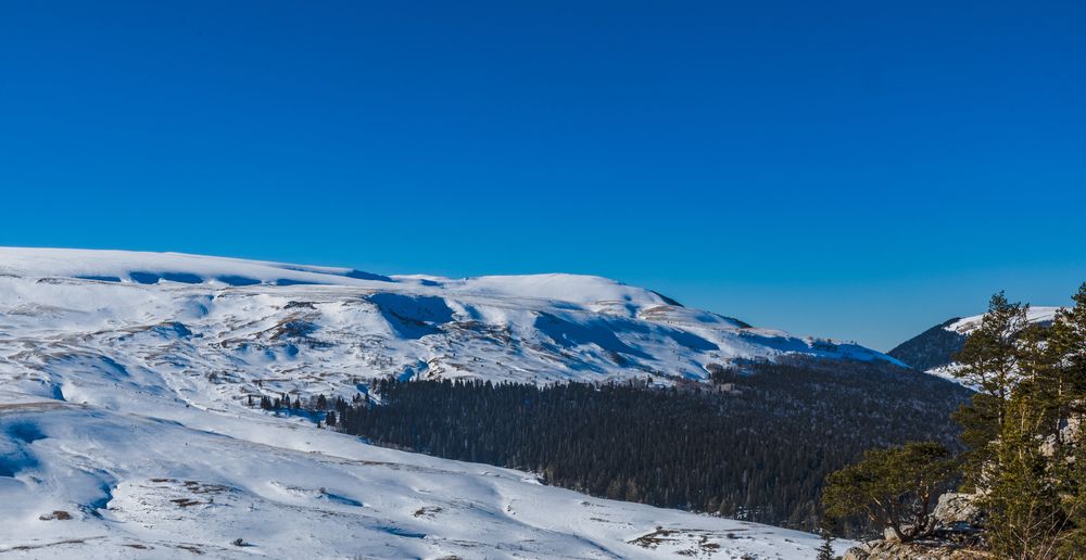 Photograph by Михаил Лапшин