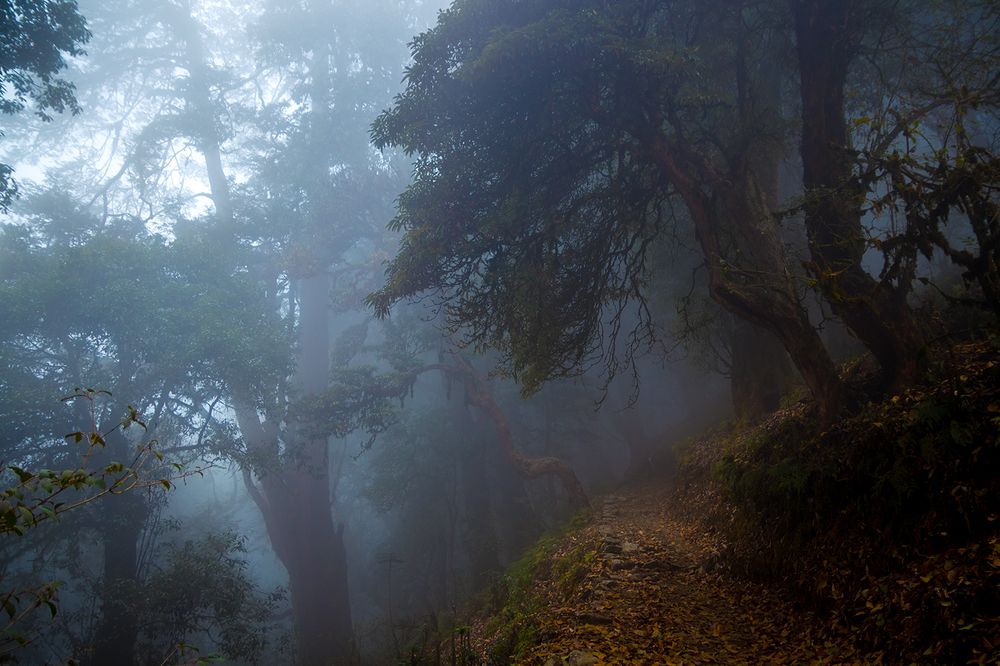 Photograph by Aritra Nath