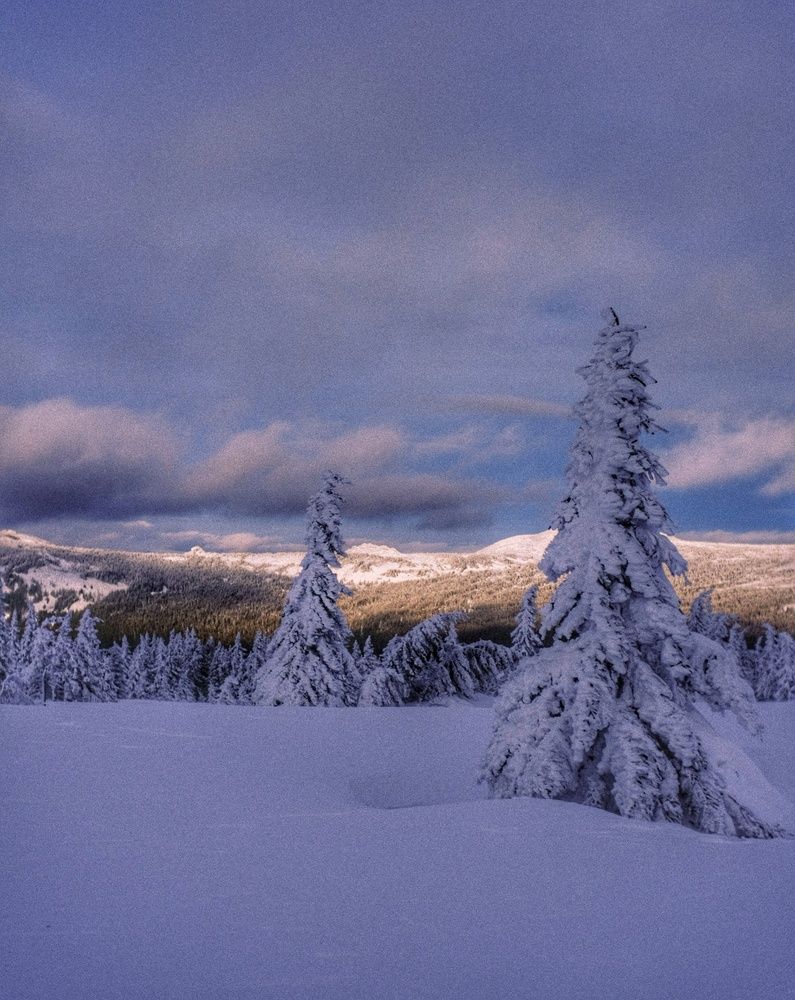 Photograph by Антон Е