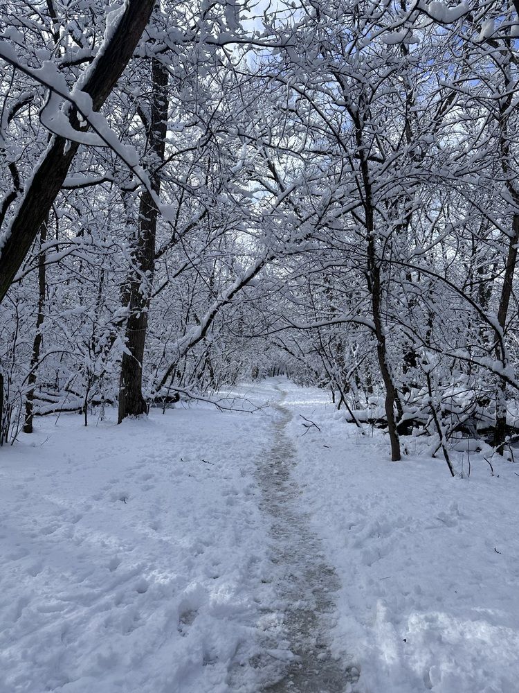 Photograph by Юлия