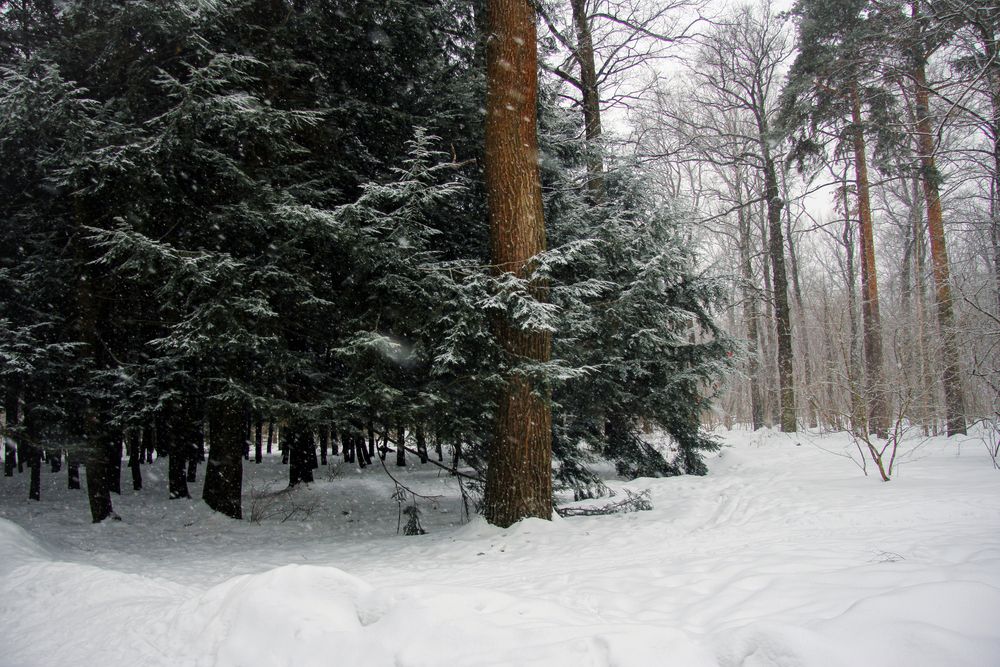 Photograph by Елена Барышева