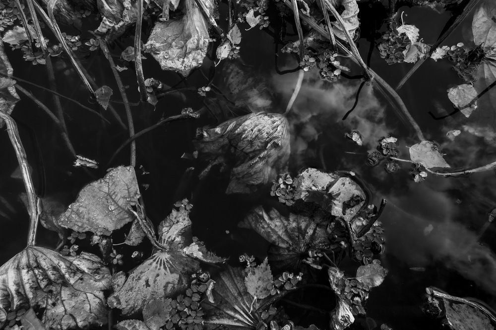 Photograph by Loptev Andrey