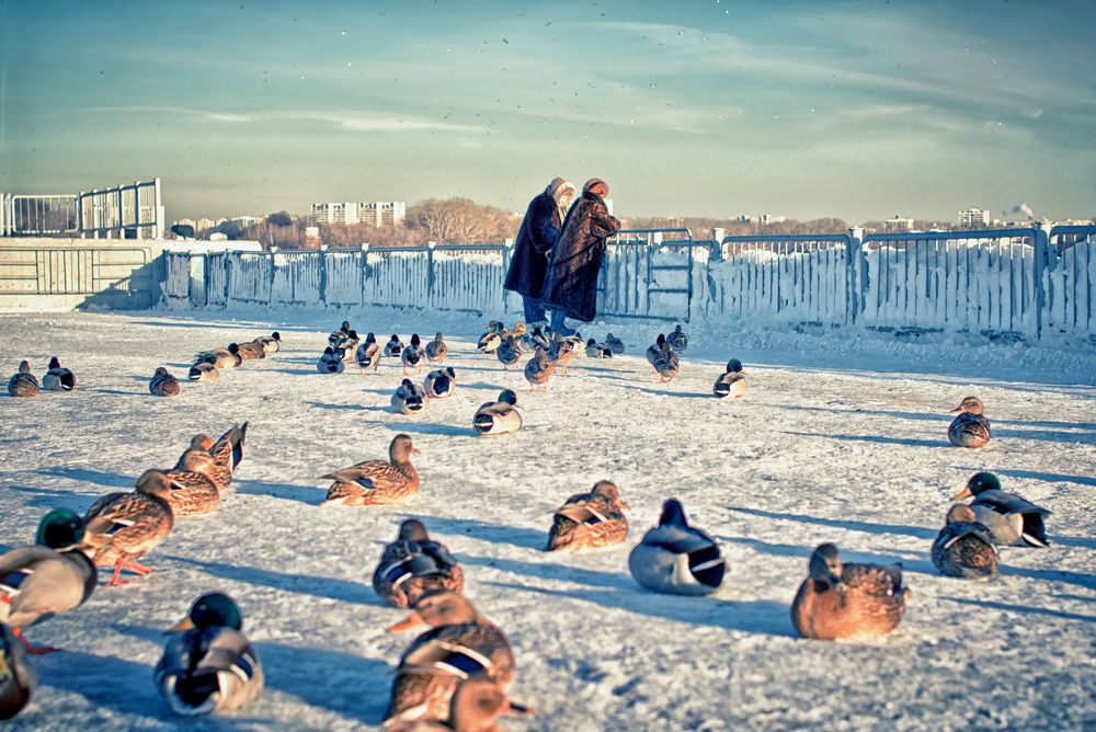 Фотография автора Анна Петина
