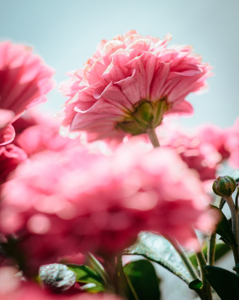 Photograph by Яна Бржозовская