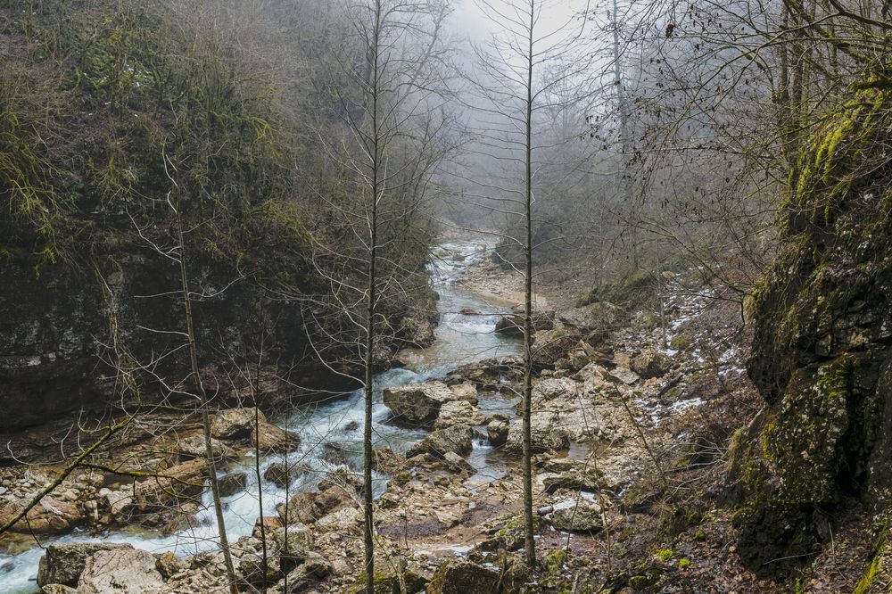 Photograph by Михаил Лапшин