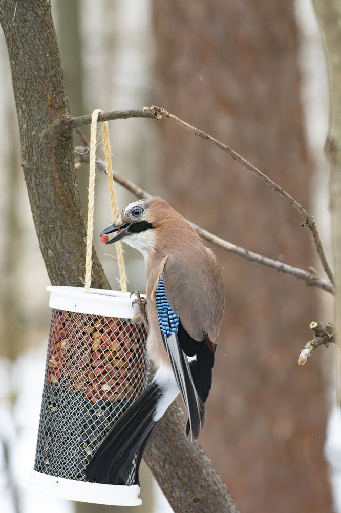 Photograph by Андрей Смирнов