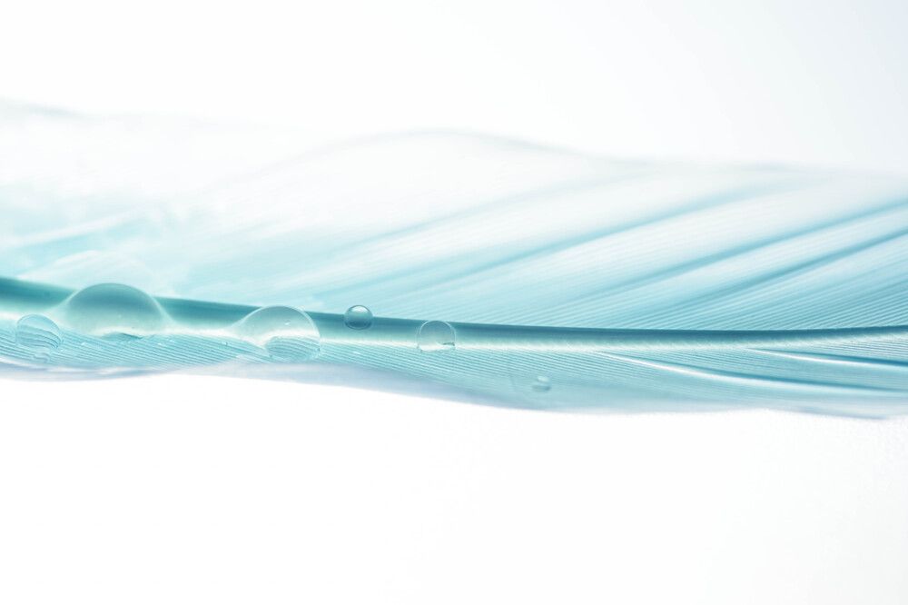 Photograph by Яна Бржозовская